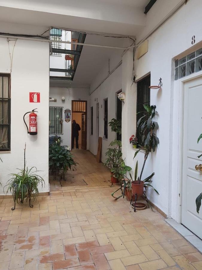 Ideal Tipo Loft En Triana Wifi Apartment